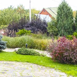 Дизайн дачного участка в Завидово фото